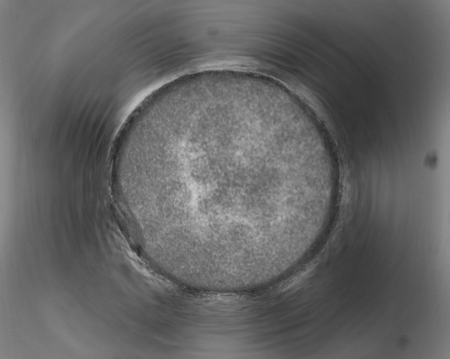X0000115630830200912221247