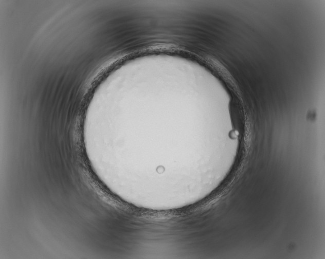 X0000115630831200912221247