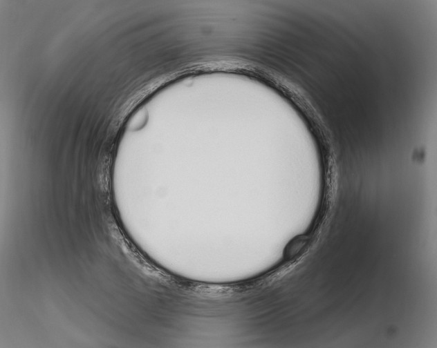 X0000115630833200912221247