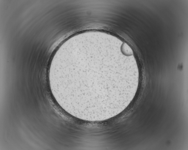 X0000115630834200912221247