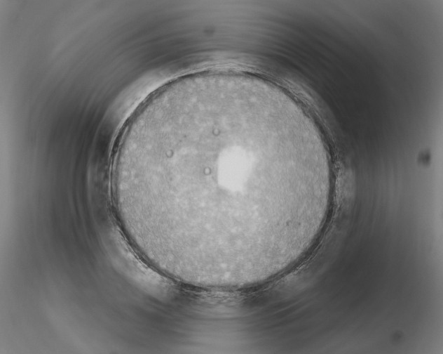 X0000115630836200912221247