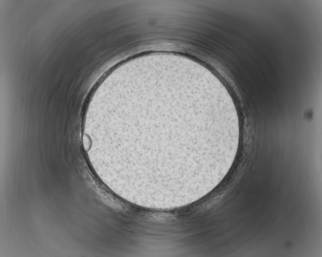 X0000115630837200912221247