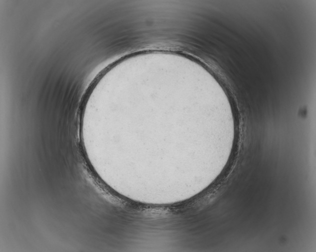X0000115630838200912221247