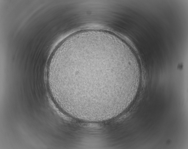 X0000115630839200912221247