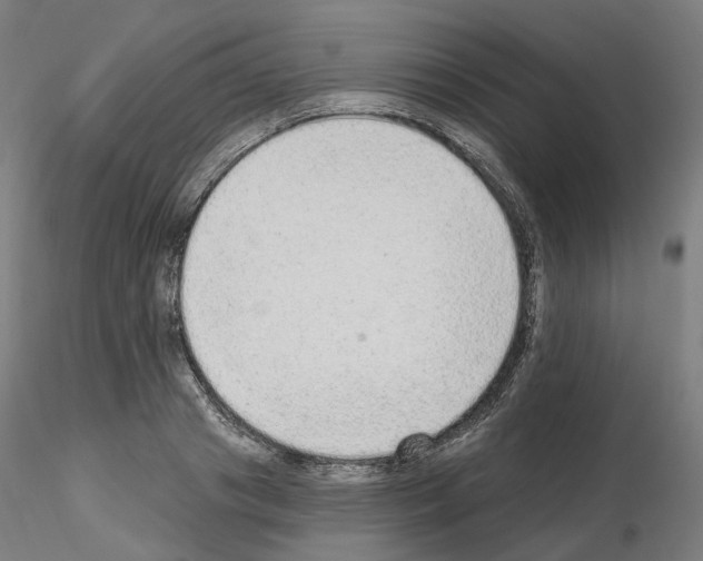 X0000115630841200912221247