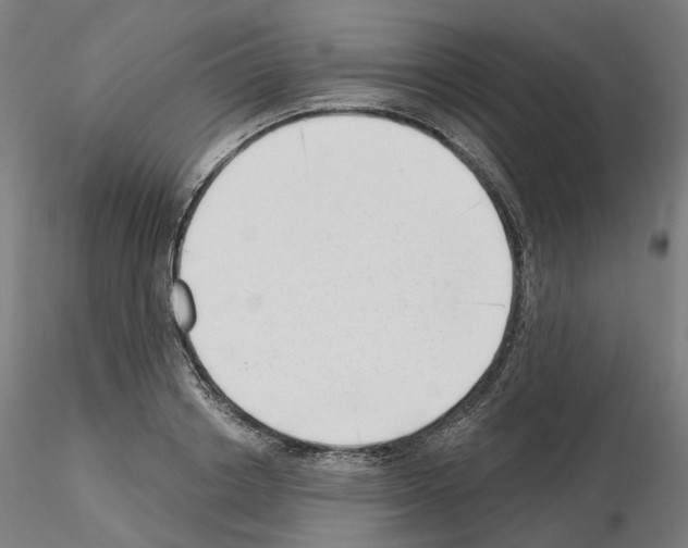 X0000115630842200912221247