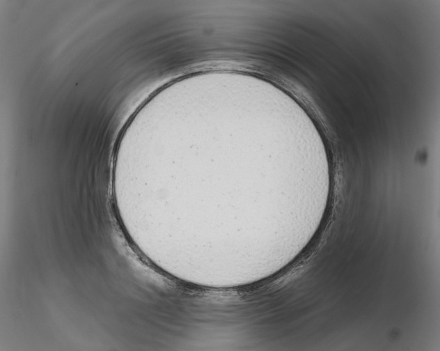 X0000115630844200912221247