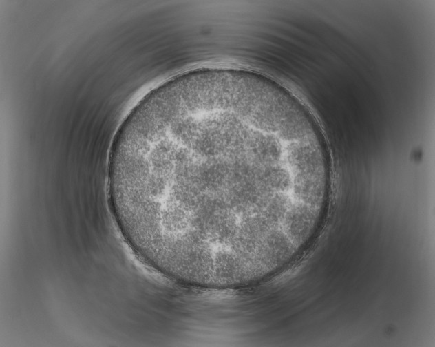 X0000115630845200912221247