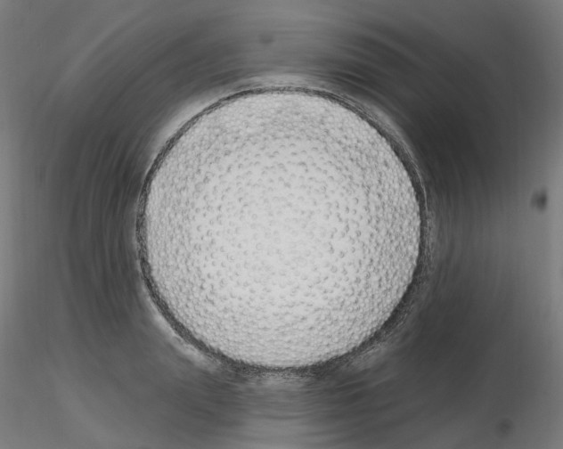 X0000115630847200912221247