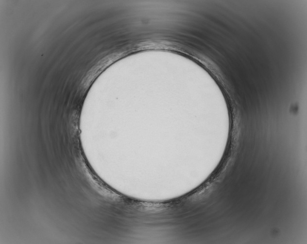 X0000115630849200912221247