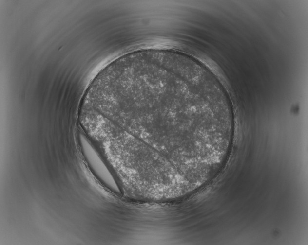 X0000115630850200912221247