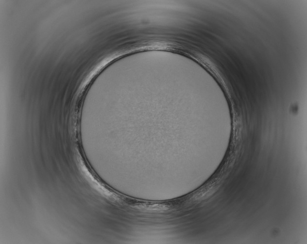 X0000115630851200912221247