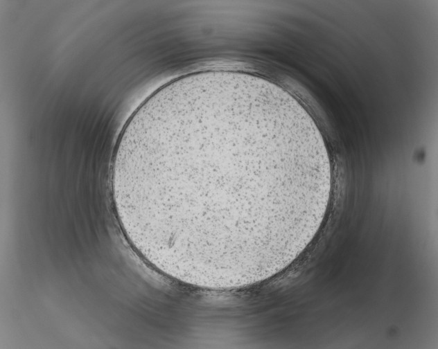 X0000115630852200912221247