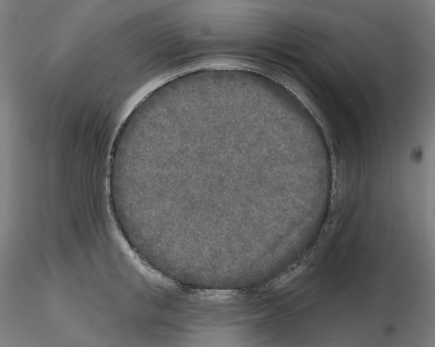 X0000115630853200912221247