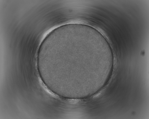 X0000115630854200912221247