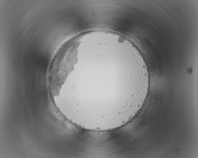 X0000115630856200912221248
