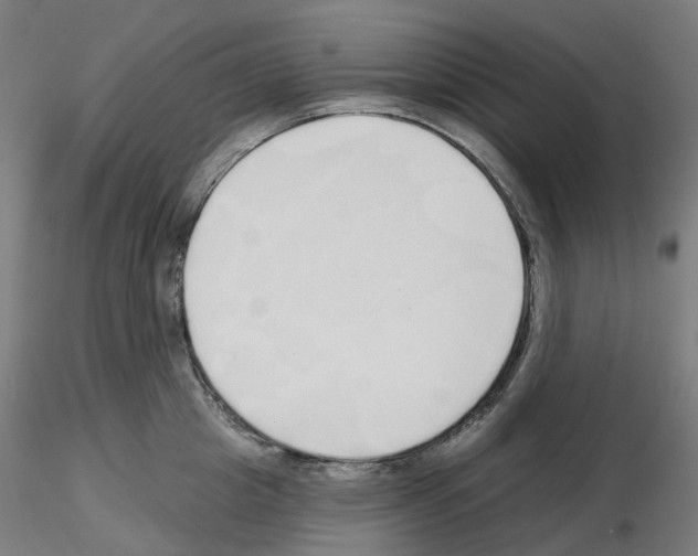 X0000115630857200912221248