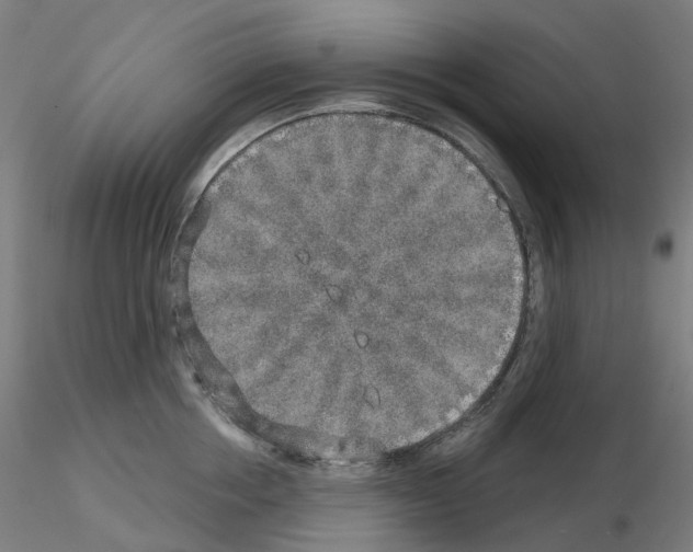 X0000115630858200912221248