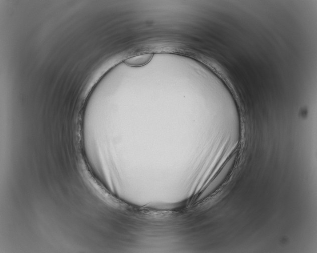 X0000115630859200912221248