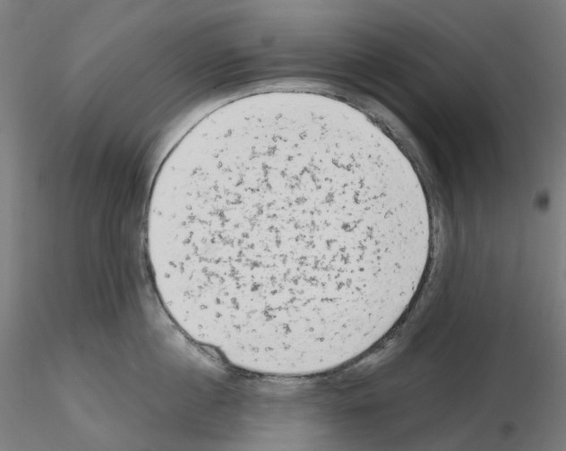 X0000115630860200912221248