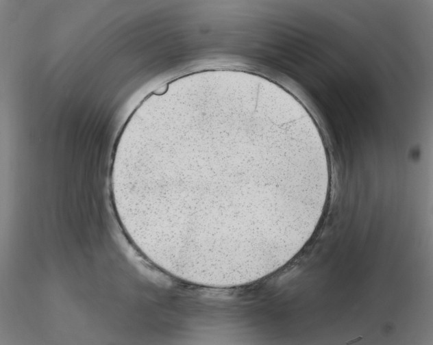 X0000115630861200912221248