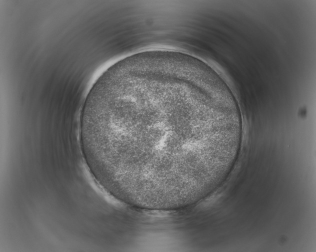 X0000115630862200912221248