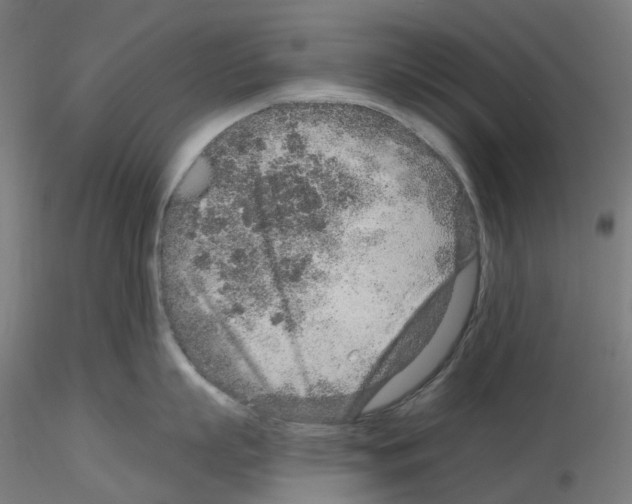 X0000115630863200912221248