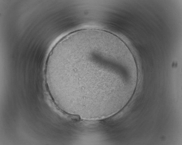 X0000115630864200912221248