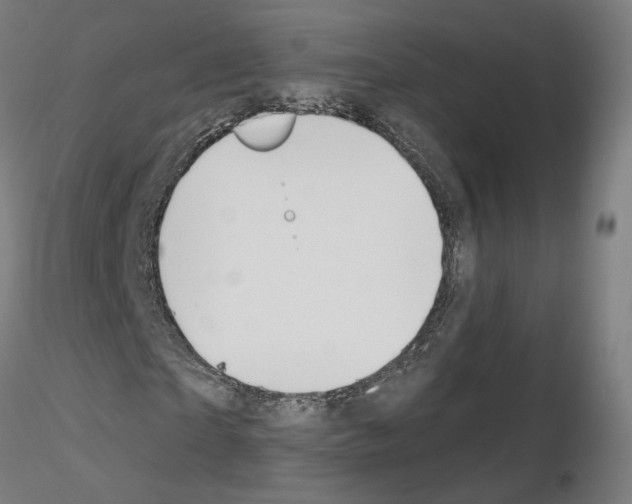 X0000115630865200912221247