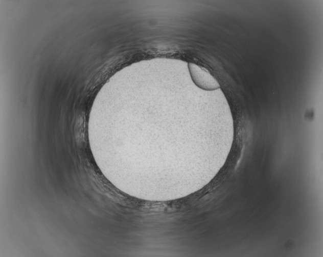 X0000115630866200912221247