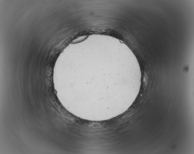 X0000115630867200912221247