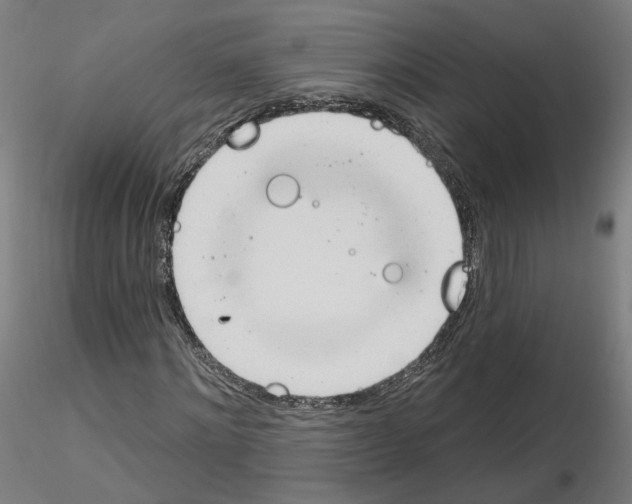 X0000115630868200912221247