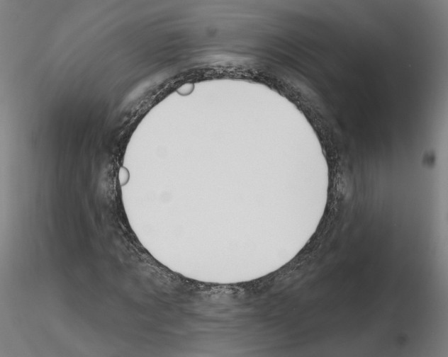 X0000115630869200912221247