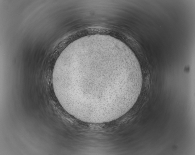 X0000115630870200912221247