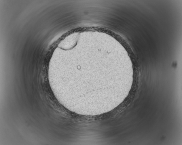 X0000115630871200912221247
