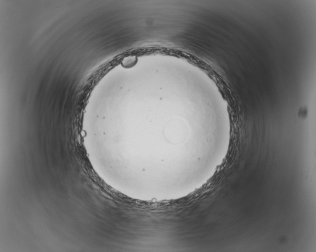 X0000115630872200912221247