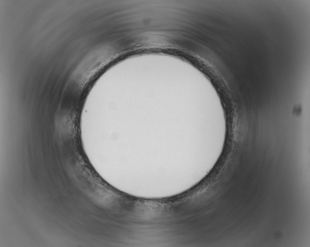 X0000115630873200912221247