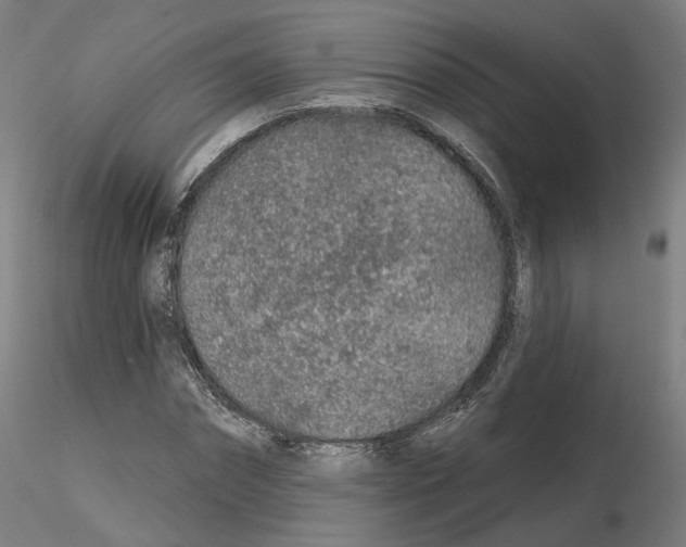 X0000115630874200912221247
