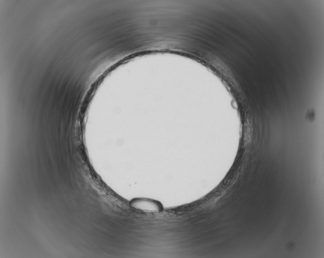 X0000115630876200912221247
