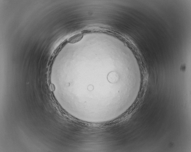 X0000115630877200912221247