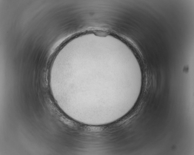 X0000115630878200912221247