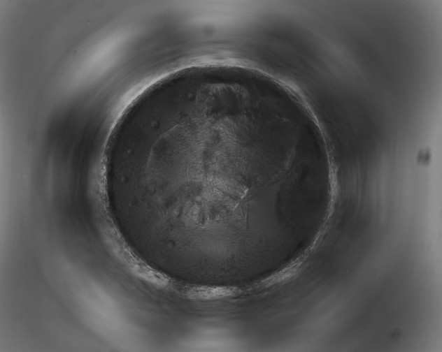 X0000115630879200912221247