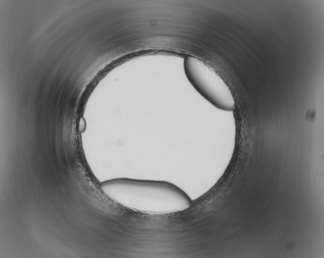 X0000115630880200912221247