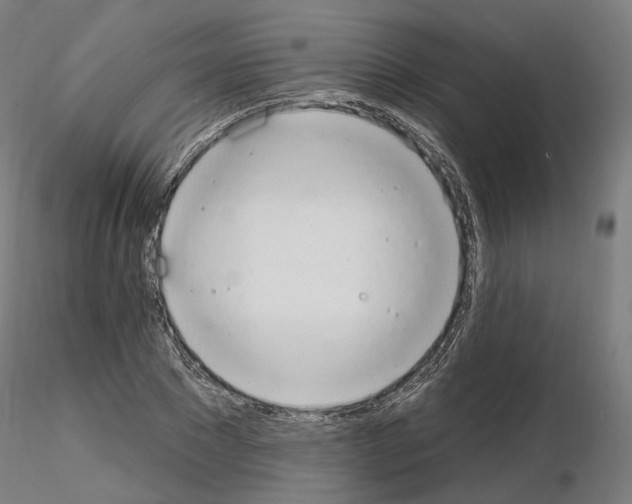 X0000115630881200912221247
