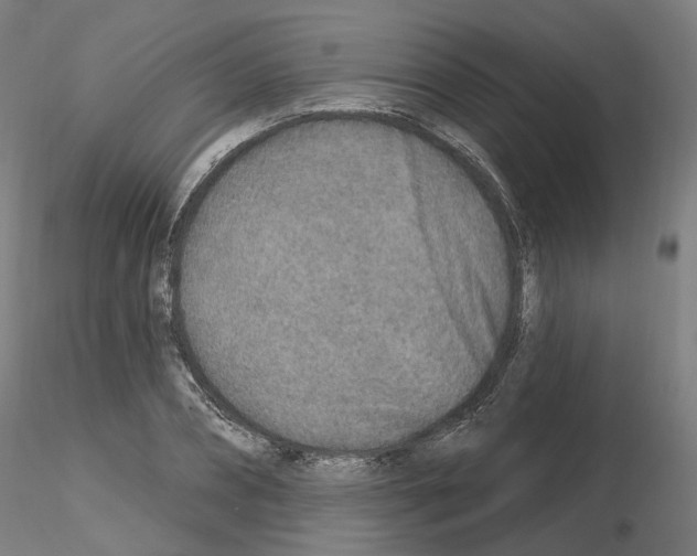 X0000115630882200912221247