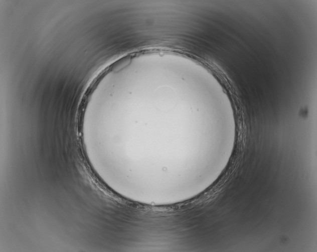 X0000115630884200912221247