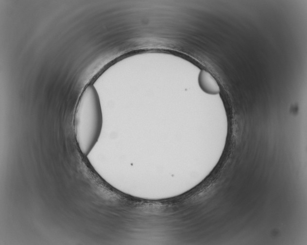 X0000115630885200912221247