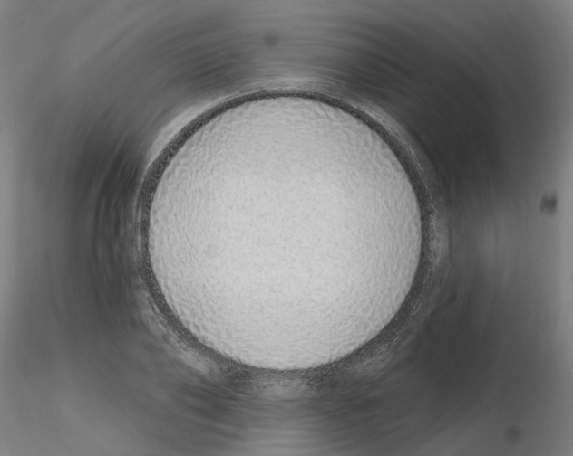 X0000115630886200912221247