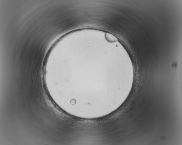 X0000115630888200912221247