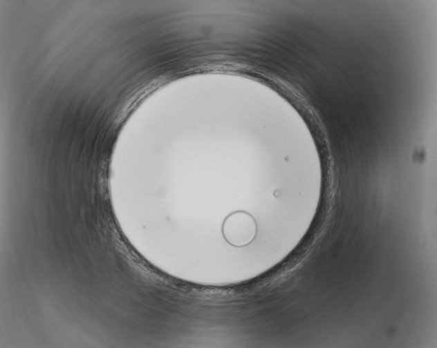 X0000115630889200912221247